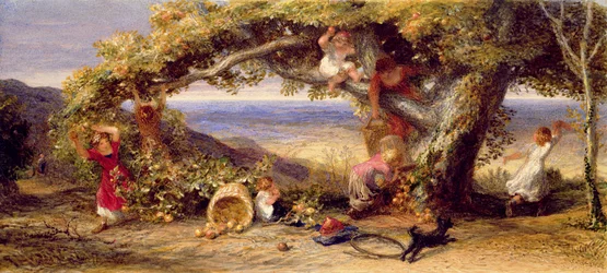The Patriarch of the Orchard